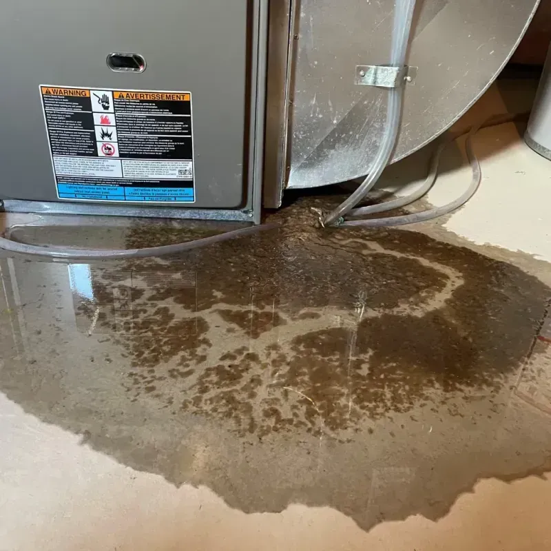 Appliance Leak Cleanup in Great Neck Estates, NY